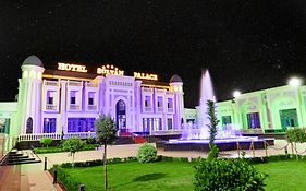 Hotel Sultan Palace